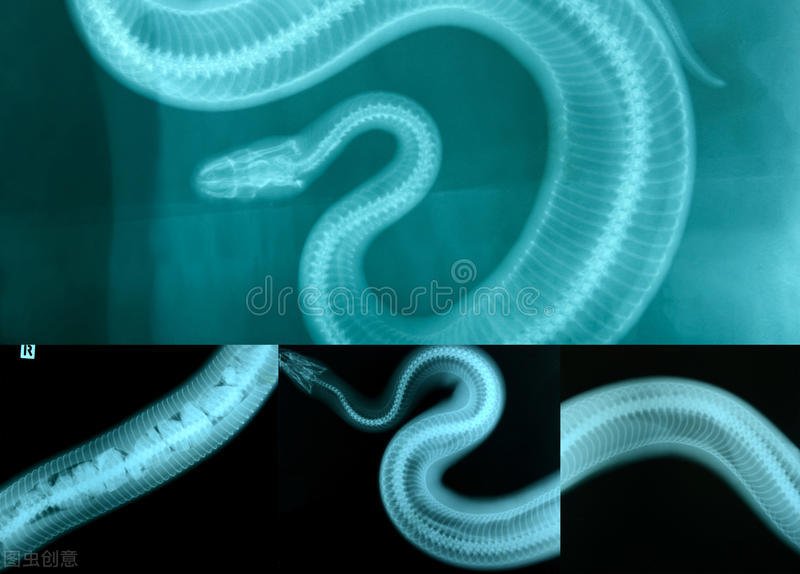 蛇性本淫什么意思,蛇性本淫的意思