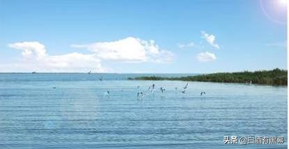 我眼中的新疆文化风景美食,我眼中的家乡美食