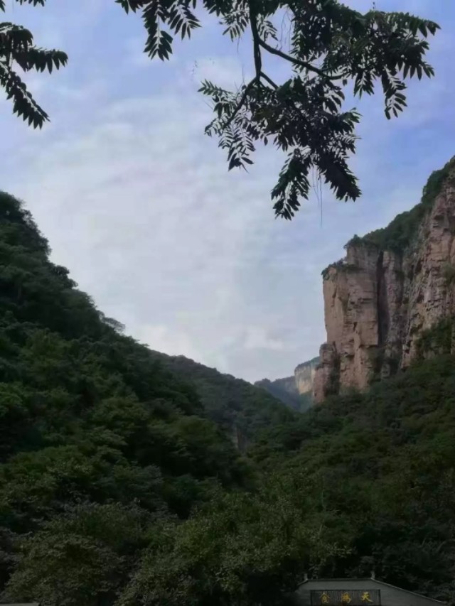 亲近自然走进自然视频,亲近自然走进自然主题墙