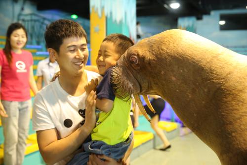 哈尔滨极地馆景点夏季,哈尔滨极地馆附近还有什么景点