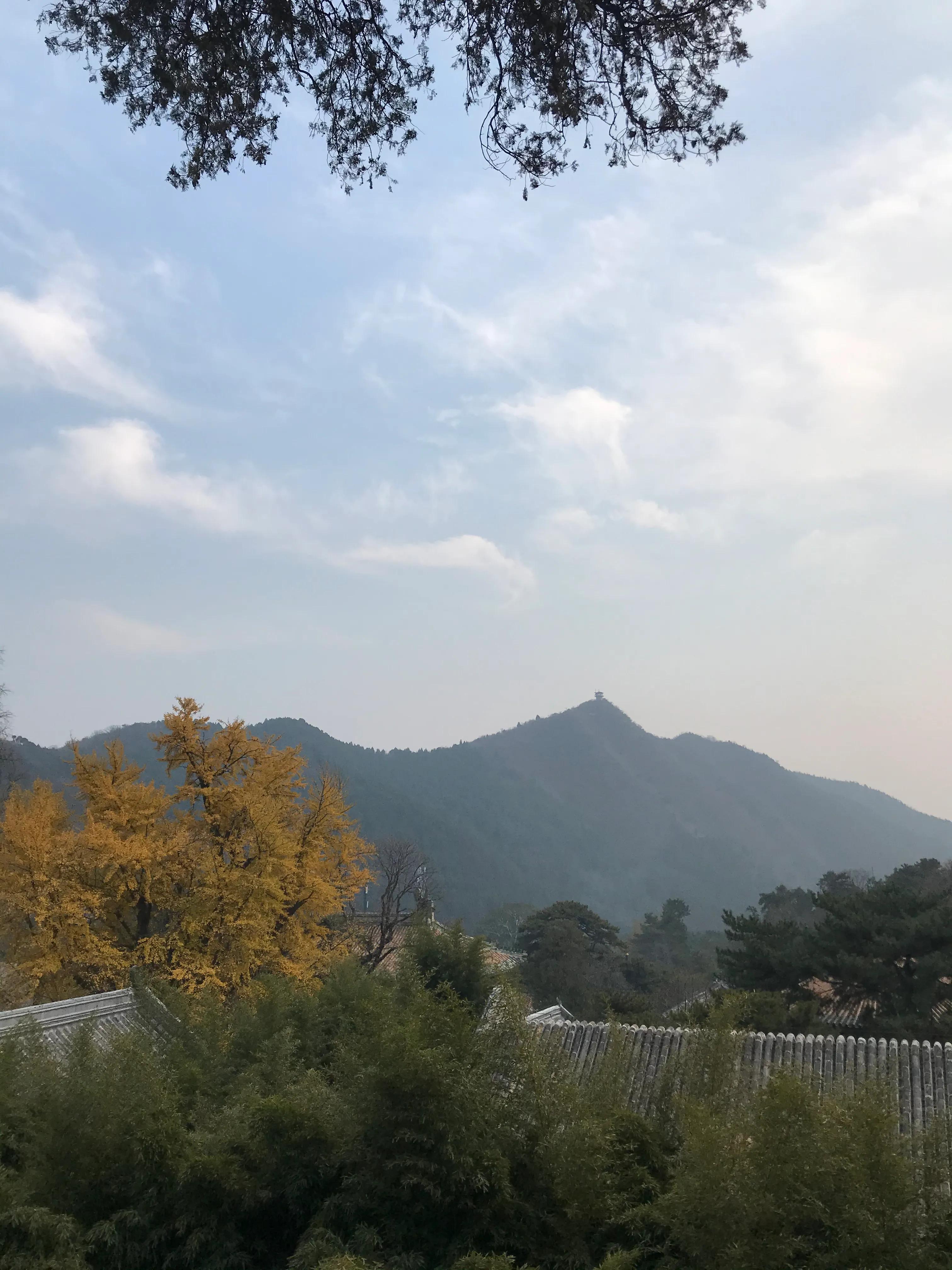 浼楃敓涓嶈,浼楃敓铏氬够