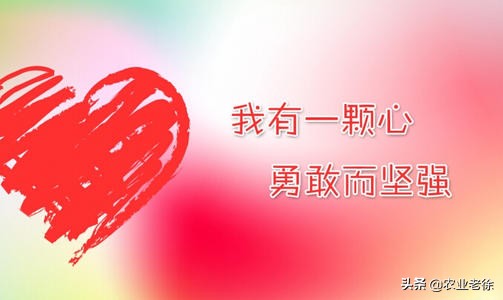 经销商怎么做自己的品牌,经销商如何选择适合自己的品牌