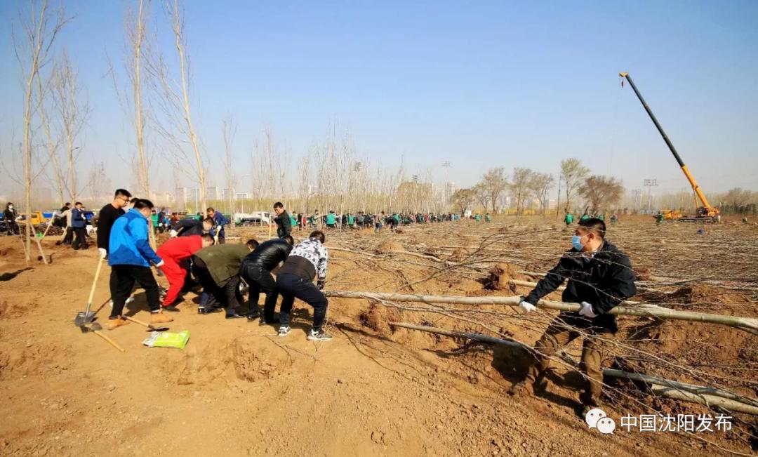 带你去美颜,明天一起去大理