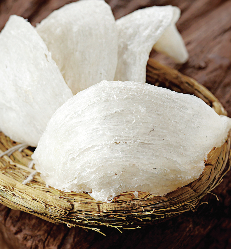 都是燕窝惹的祸？爪哇金丝燕：飞得快不如被团灭快