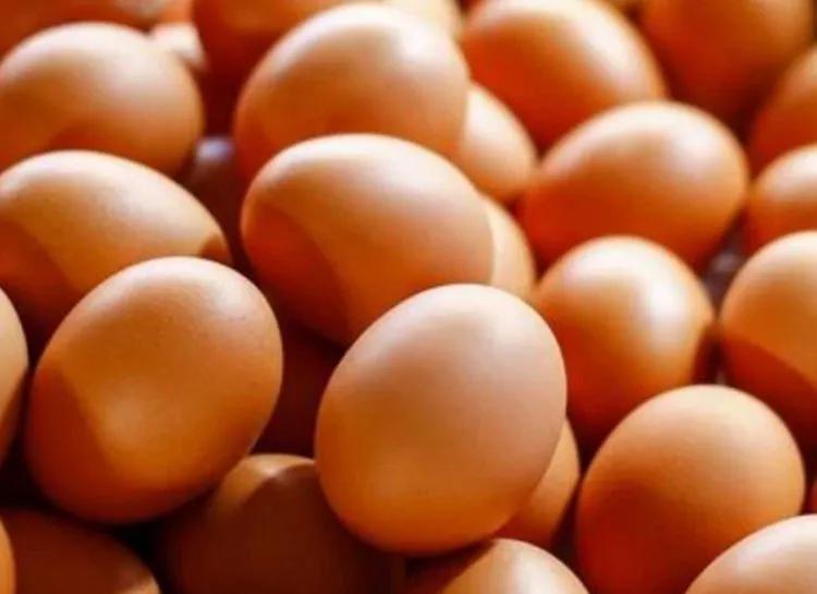 怎么从外观挑选新鲜鸡蛋,生活小常识鸡蛋如何煮