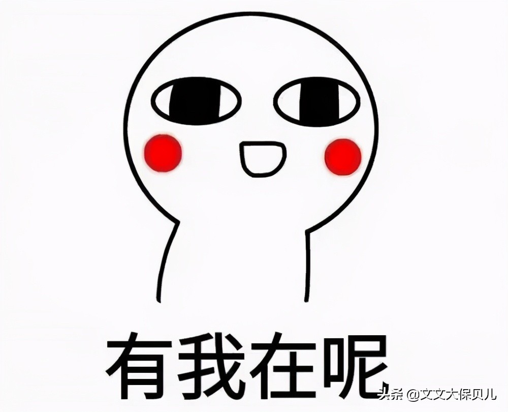 狗咬了意外险报多少,理赔意外险案例