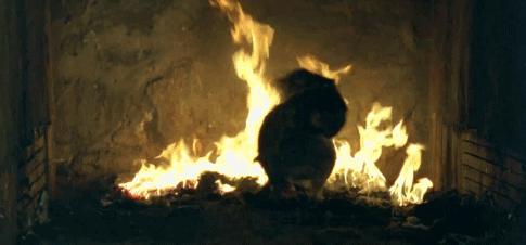 功勋军犬为拍戏被炸死片段,为了电影而被炸成碎片的军犬