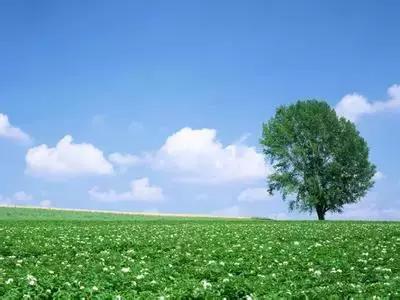 学习的成语有哪些,成语学习知识大全