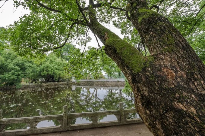 走起一起寻找武汉美食攻略,武汉美食寻味