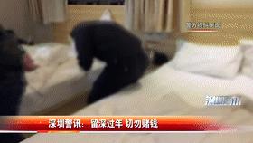 限时特惠出国游,超划算出国游