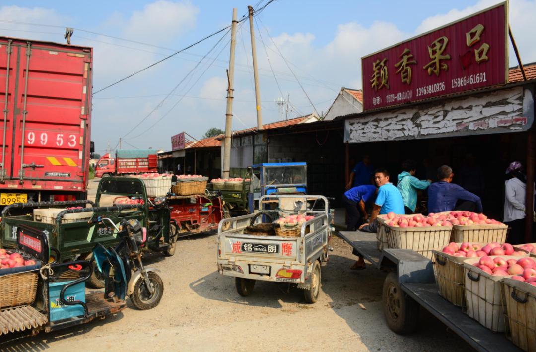 烟台红将军苹果今日价,红将军苹果最新价格行情