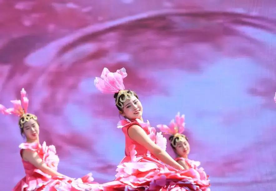 舞阳县最新项目推进,舞阳县最新重点项目