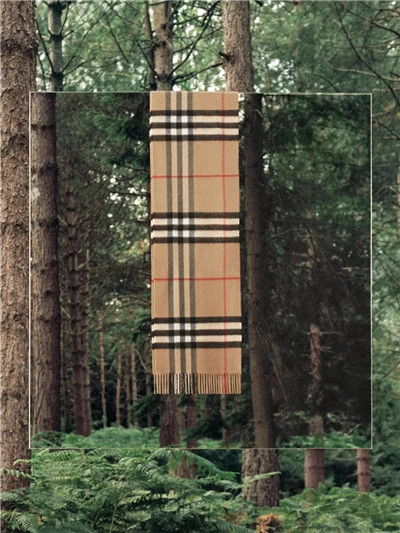 最适合喝的秋天的第一杯奶茶,这才是秋天第一杯奶茶该有的样子