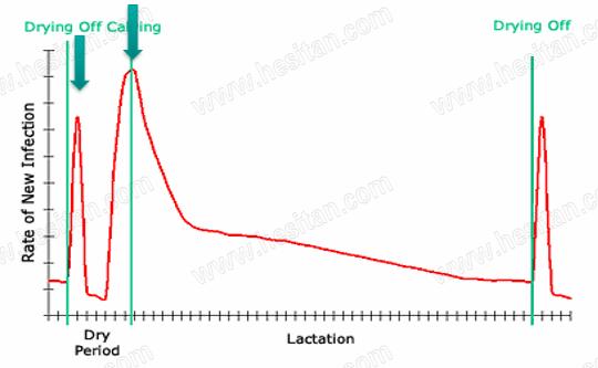 Jantijn博士谈牧场如何管控好夏季环境性乳房炎