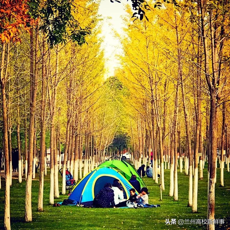 兰州理工大学简介,兰州理工大学百科