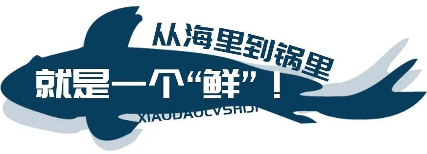 秦皇岛海浪花天桥海鲜批发市场,秦皇岛海浪花批发市场在哪