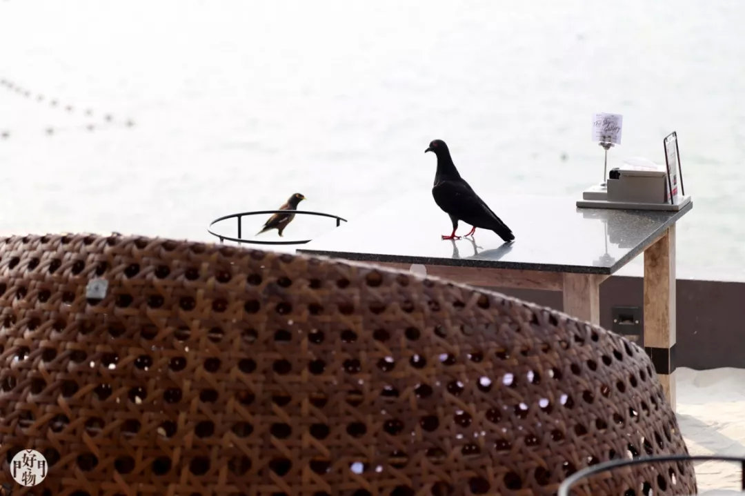 免签去泰国买单程机票可以吗,泰国旅游自费