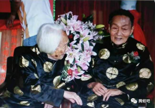 凤巢陈氏族谱,历史上乡贤故事