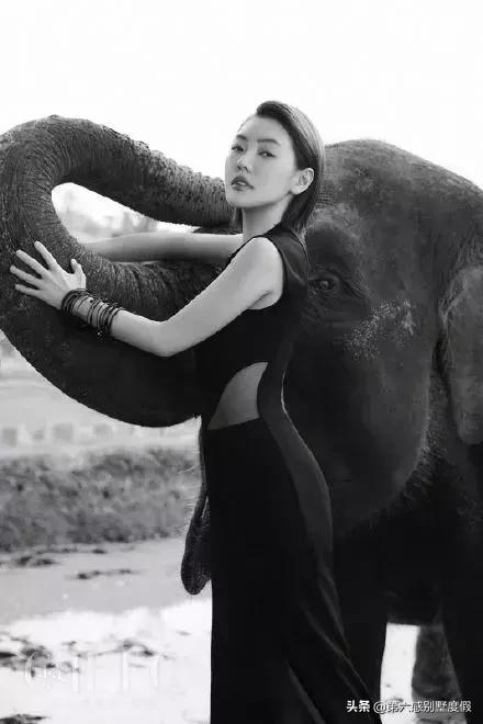 小s徐熙娣最新广告,小s徐熙娣走秀头发遮脸