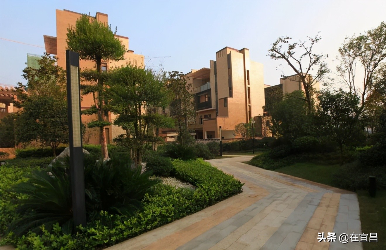 牛!这样的伍家岗,你怎能不爱