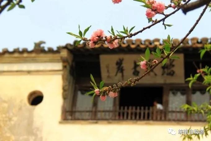 皖南川藏线自驾游攻略月亮湾酒店,皖南川藏线月亮湾桃花潭怎么玩