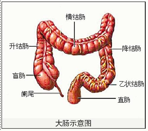 胃镜肠镜都没问题拉的大便发黑,做了胃镜肠镜几天都不排便
