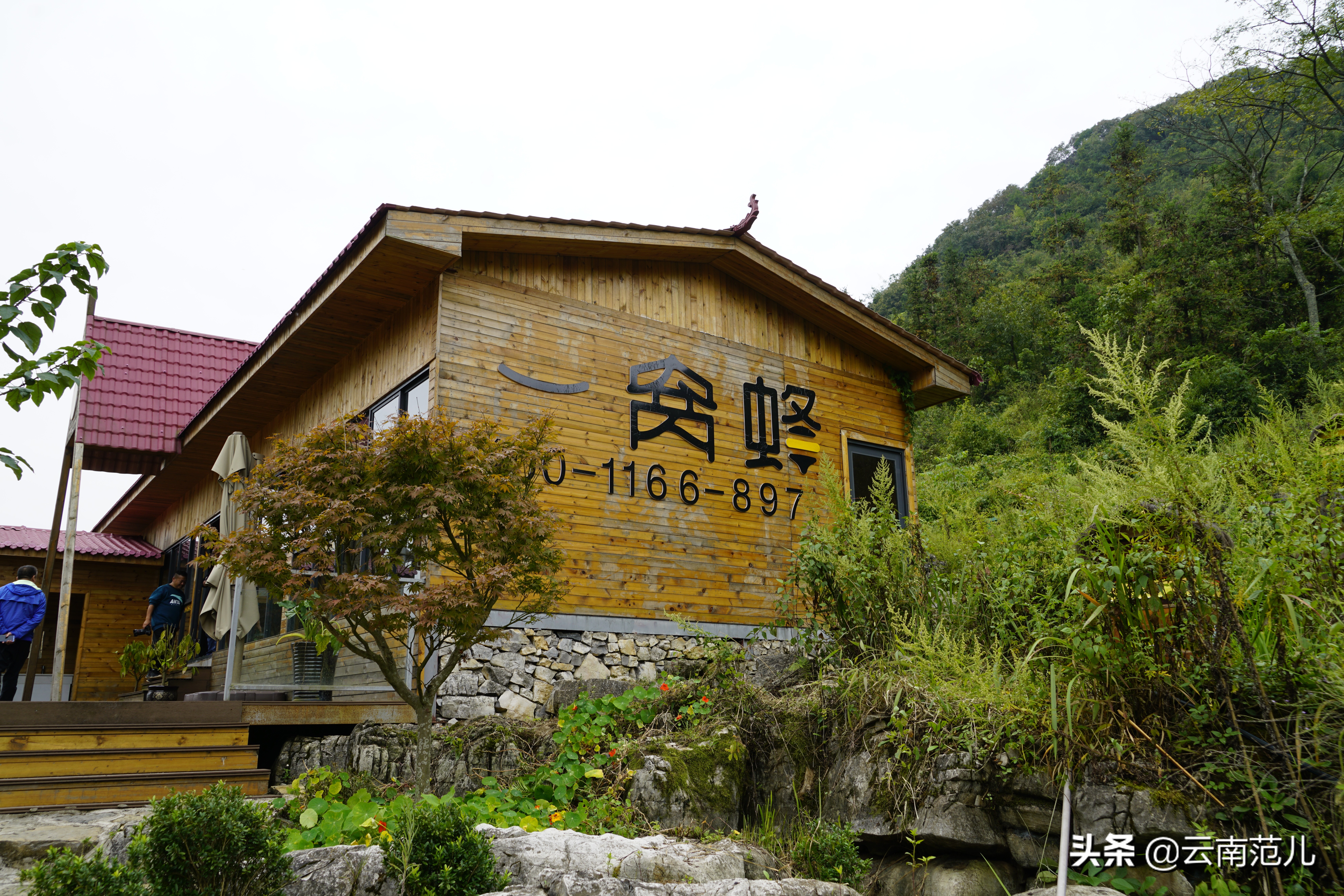 云南的油菜花哪里出名,云南一个地方都是油菜花