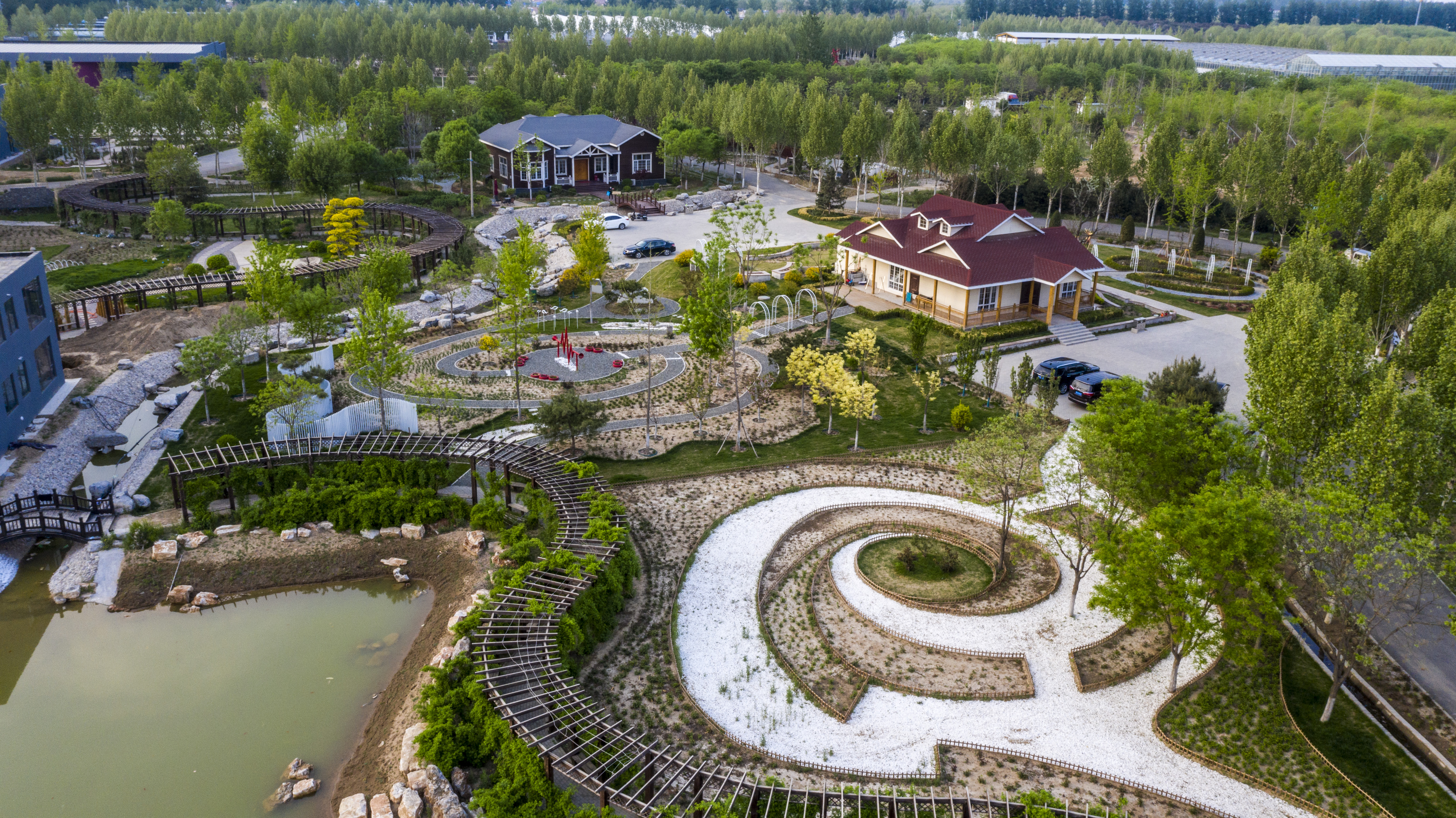 大兴月季园的月季有多少种,北京最大的月季基地在哪