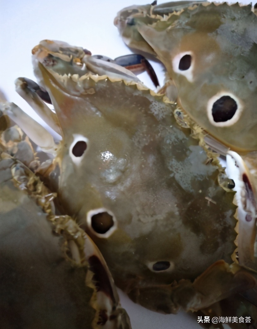 最好吃的海鲜城市排名,沿海城市海鲜又便宜又好吃