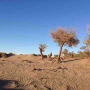 数字代表字母,数字代表英文字母