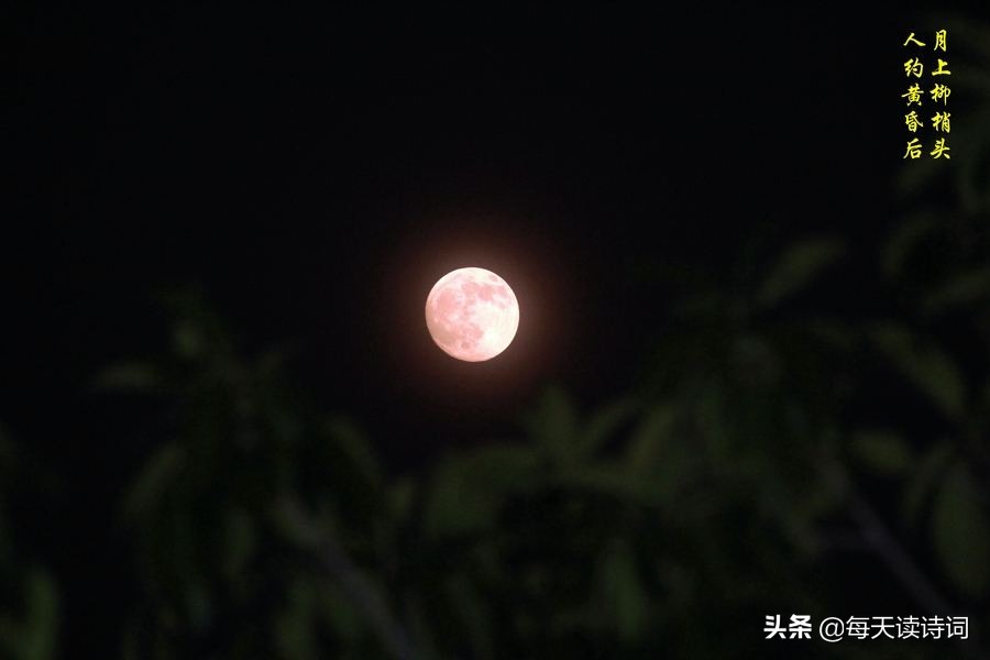 宋朝最有名的一首词,宋代最伤心的一首词