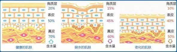 油皮出油用什么补妆,混油皮夏天出油更严重怎么护肤