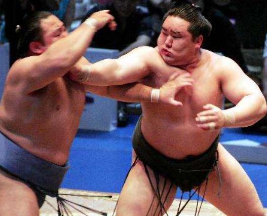 日本最强相扑手,日本相扑手的真实实力