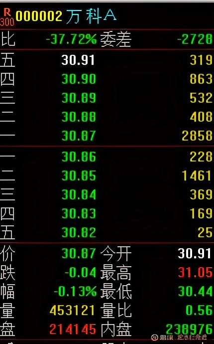 每日复盘和自律周计划,每日重仓股一览表