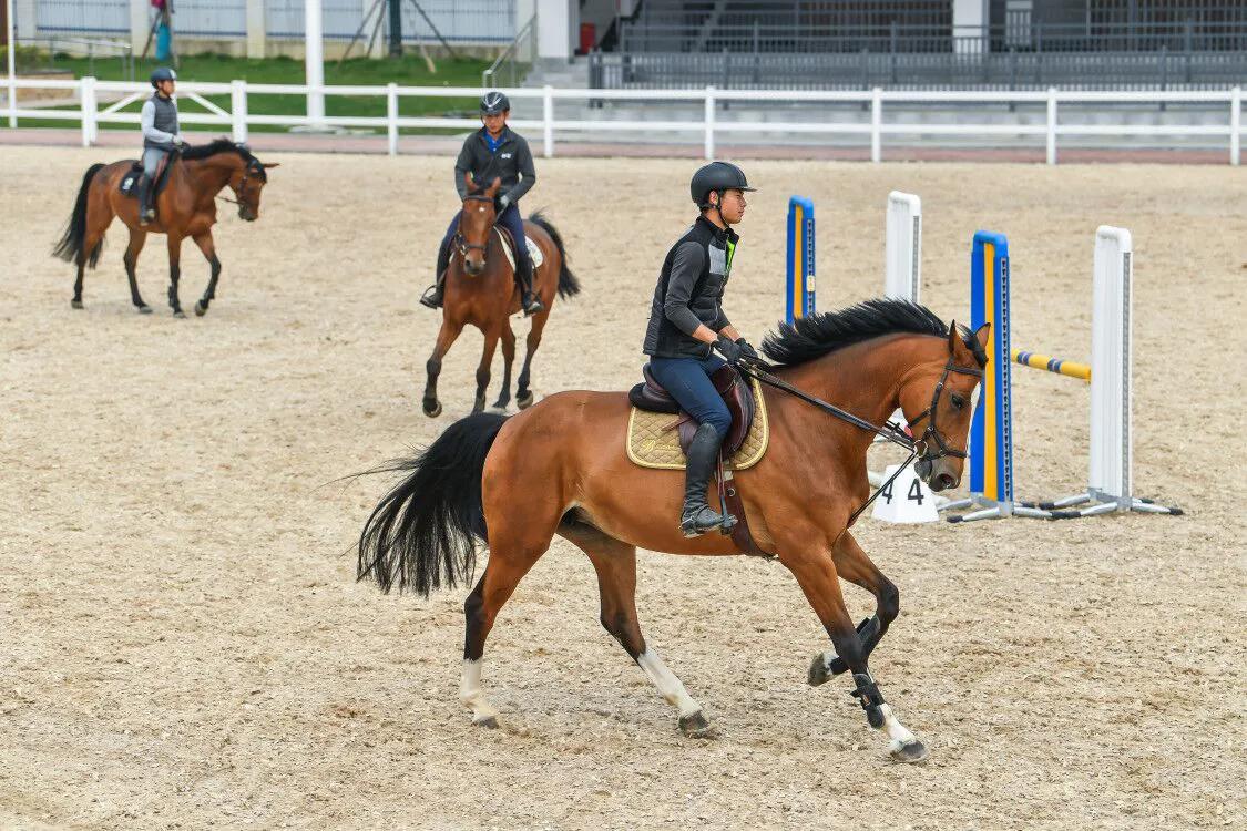 武汉第七届军运会马术障碍赛,军运会马术障碍赛第一场比赛