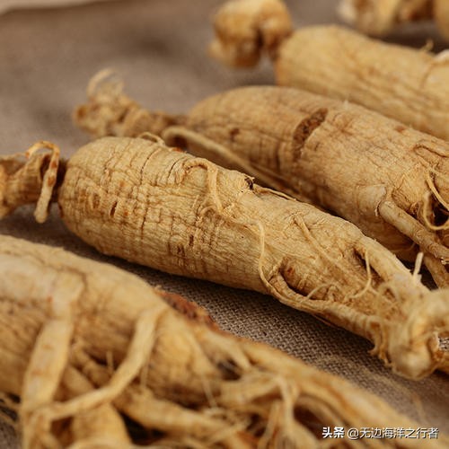 人参未来市场价格趋势,2020人参果市场行情分析