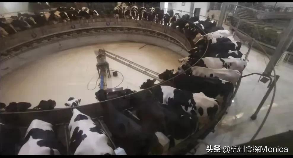 私藏十大好物推荐,杭州周边三天游攻略