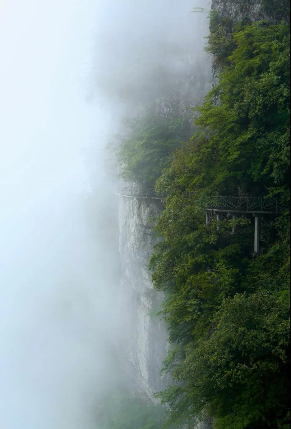 腾云驾雾观云海,腾云驾雾来到人间欣赏美景