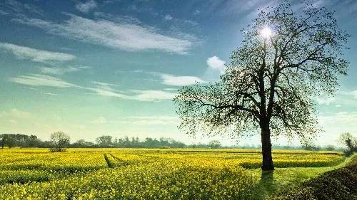 人不能正视自己的问题是很可悲的,人最大的智慧就是有自知之明