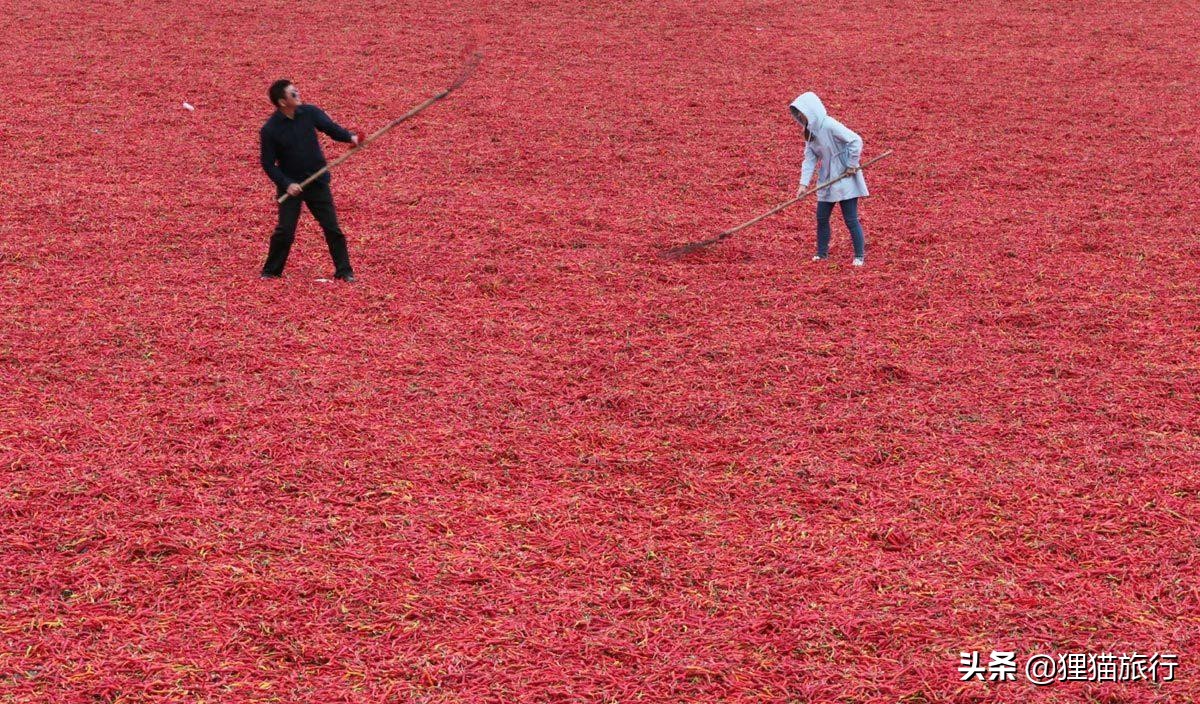新疆沙湾市发展,新疆沙湾新变化