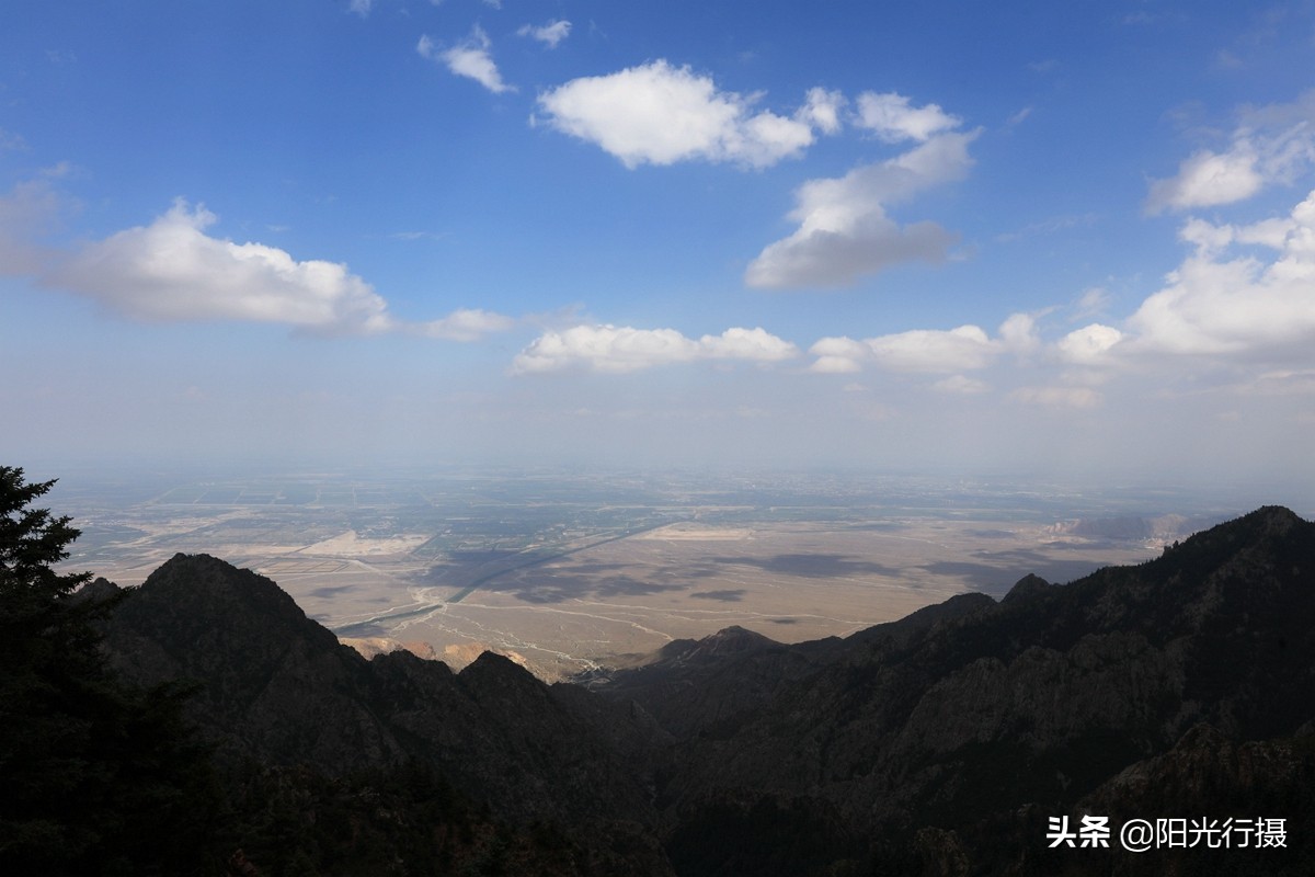 静谧森林和沙漠交界处,静谧森林红色石头