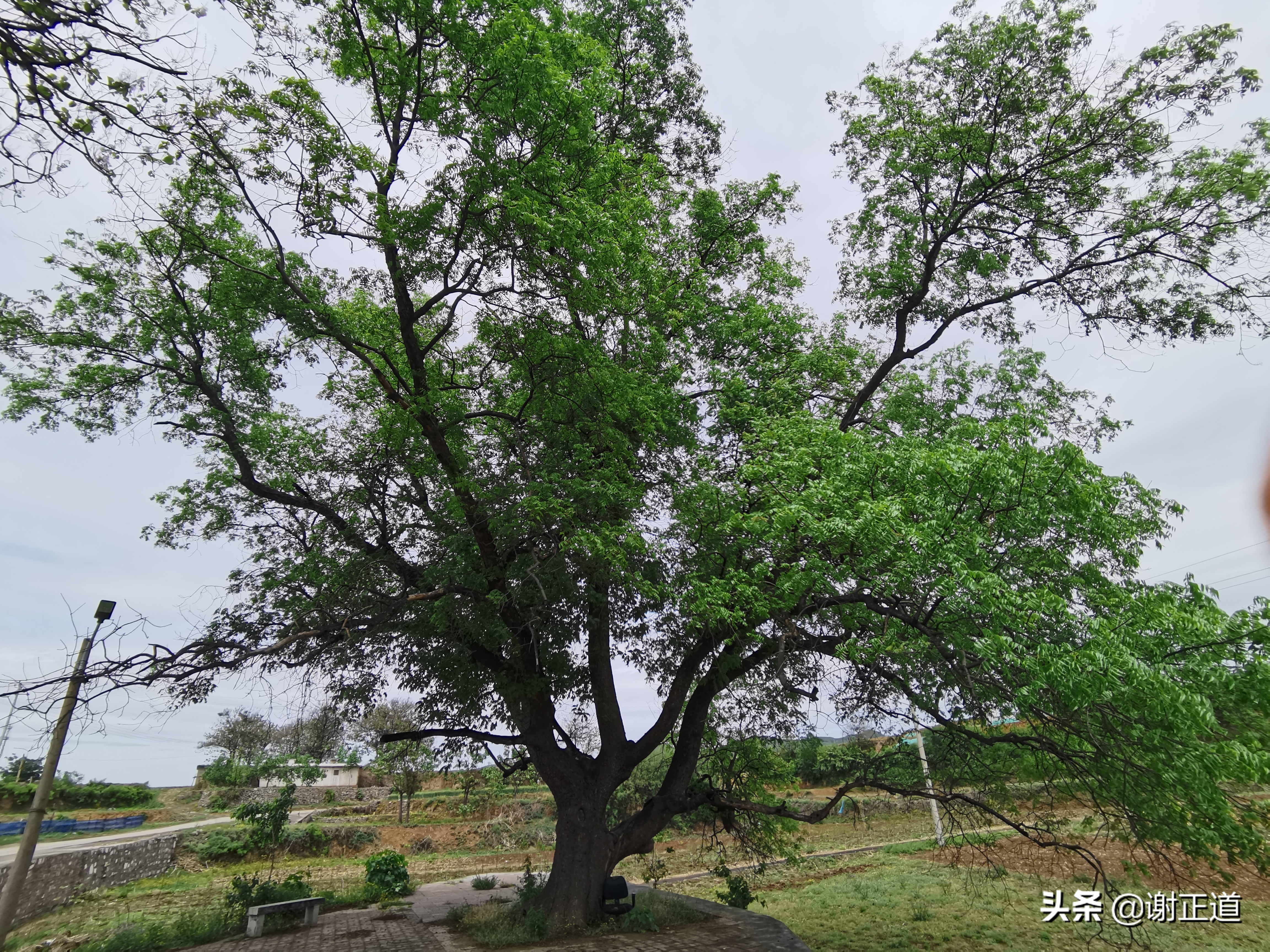 井陉县古村落传奇,井陉历史上改过名吗