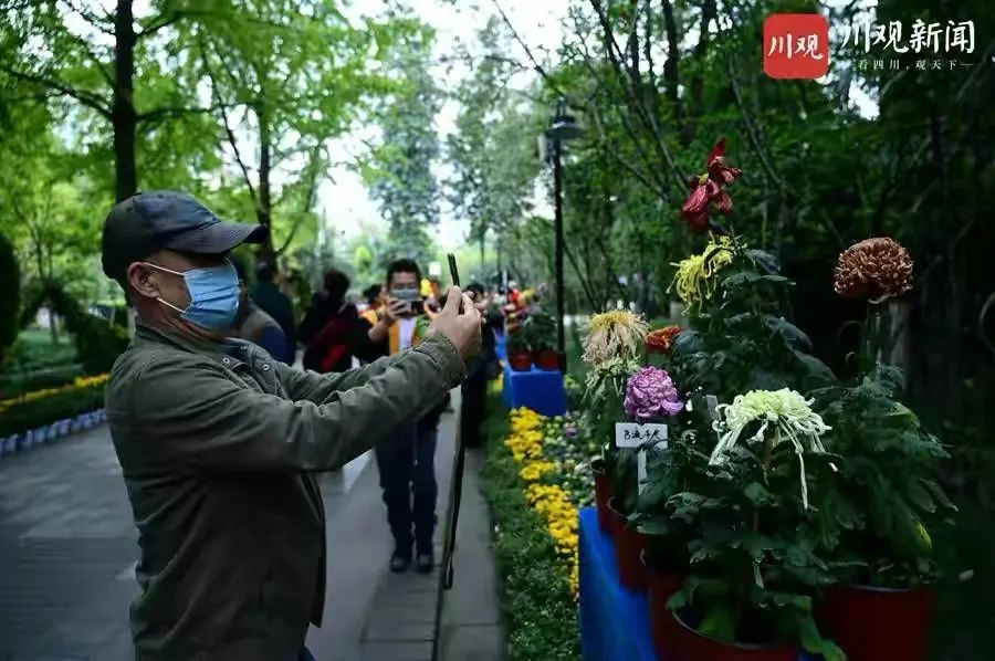 成都公园运营模式,成都公园维护成本