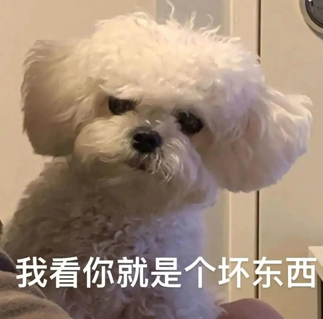 吉林：“泰国大师”为你“超度”?不存在的！法院判了