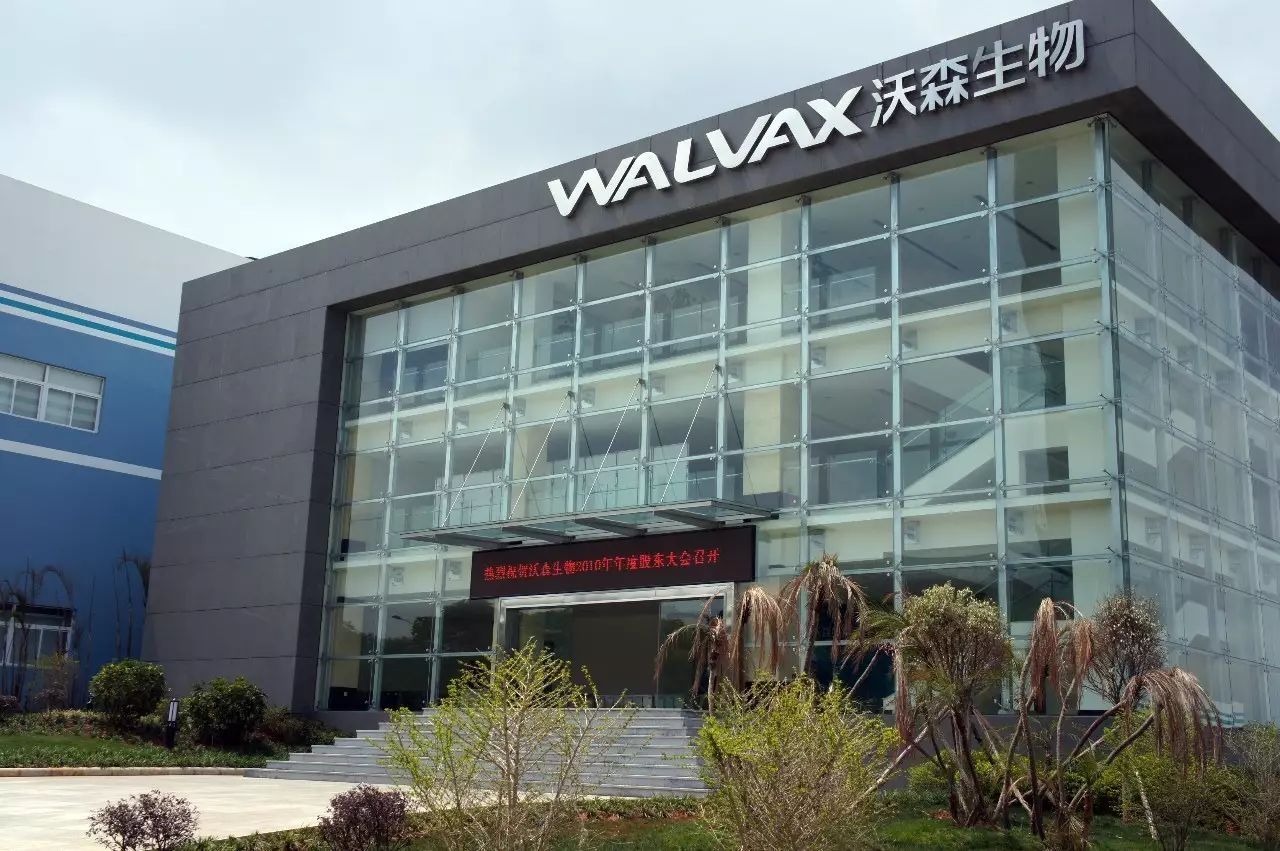 沃森生物上市到现在涨了多少倍,沃森生物是龙头吗