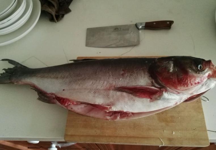 炖鱼放什么料去腥味,白开水炖鱼怎么去腥