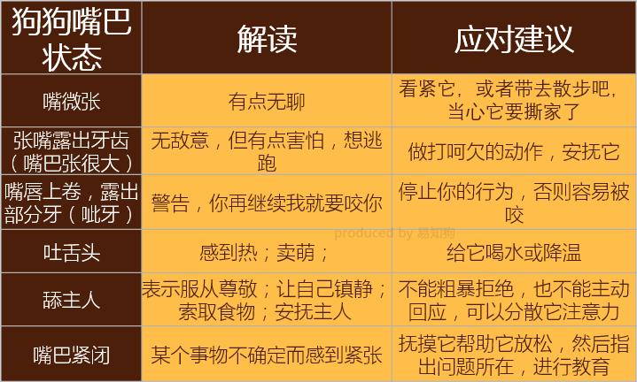 狗狗尾巴动作代表的含义,狗狗的尾巴动作代表的含义