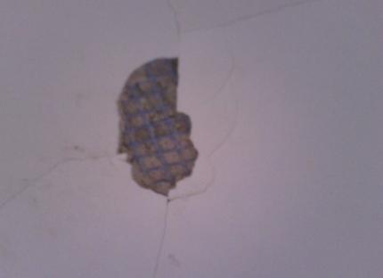 墙面乳胶漆开裂找哪个机构鉴定,乳胶漆墙面开裂能不能直接贴墙布