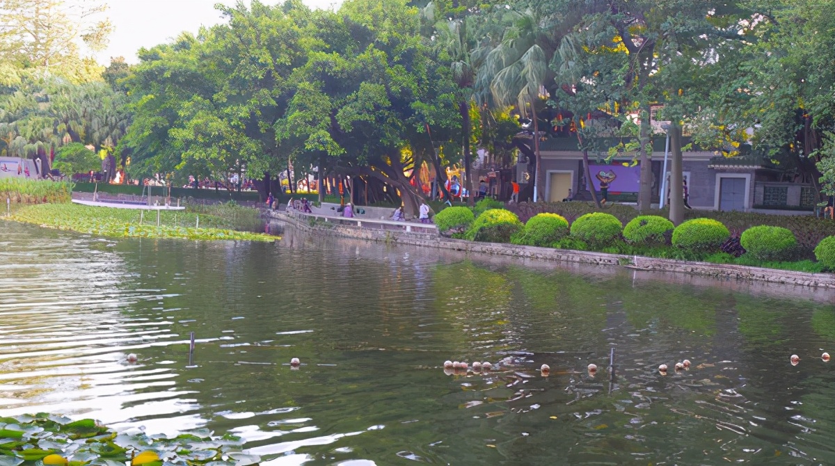 广州荔湾湖公园风景,广州荔湾湖公园有什么好玩的