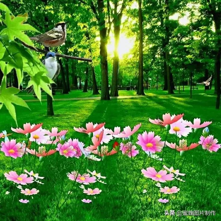 大自然山水美景壁纸全屏,美景壁纸4k全屏